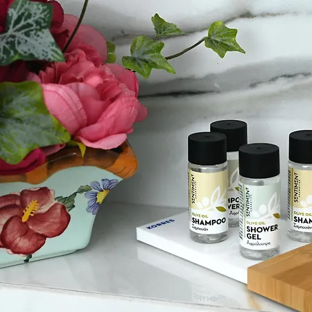 Asteroskoni Luxury *