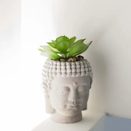 Asteroskoni Luxury * 纳夫普利翁