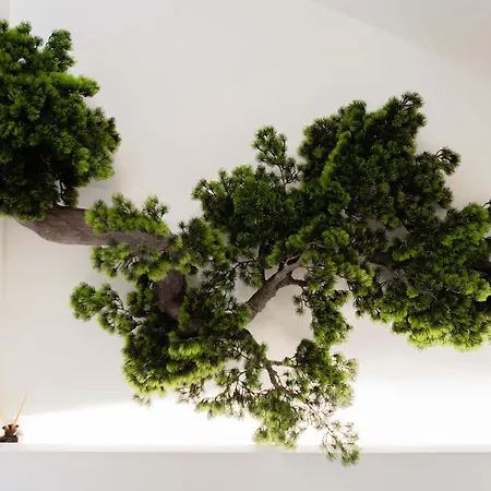 Asteroskoni Luxury *