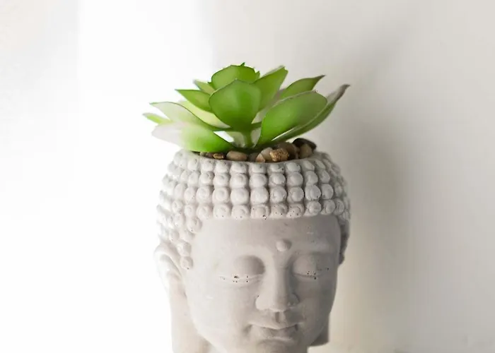 Asteroskoni Luxury * Návplio