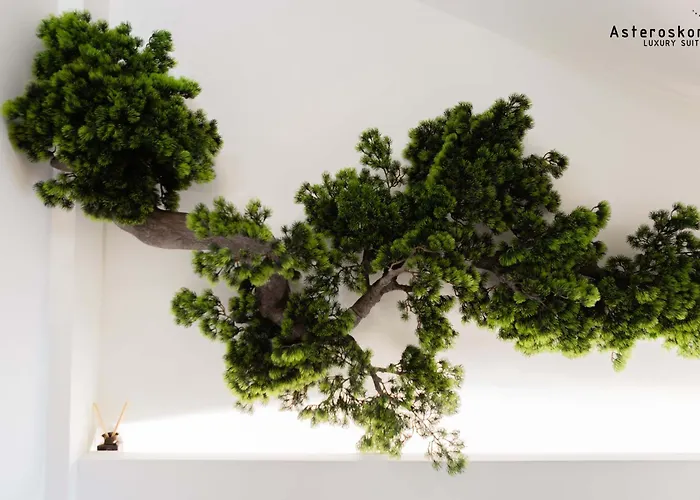 Asteroskoni Luxury *